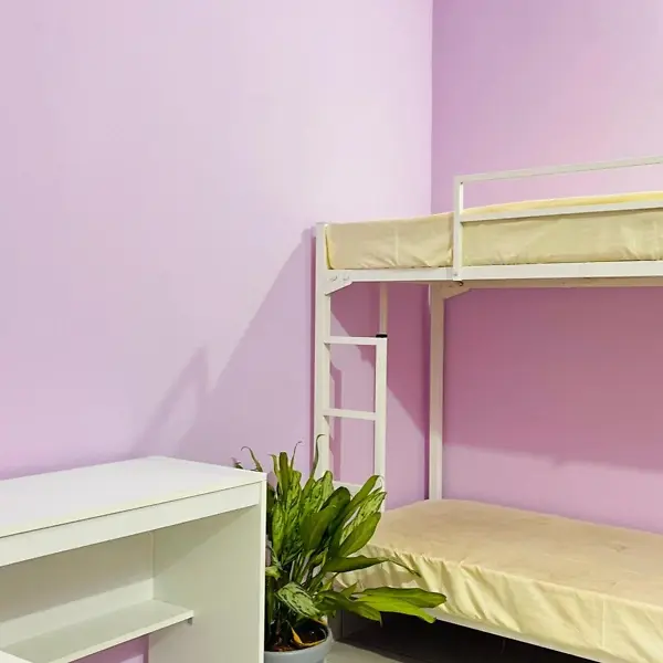 StayB Elite Men's Hostel Kakkanad – AC PG Near Infopark phase 2